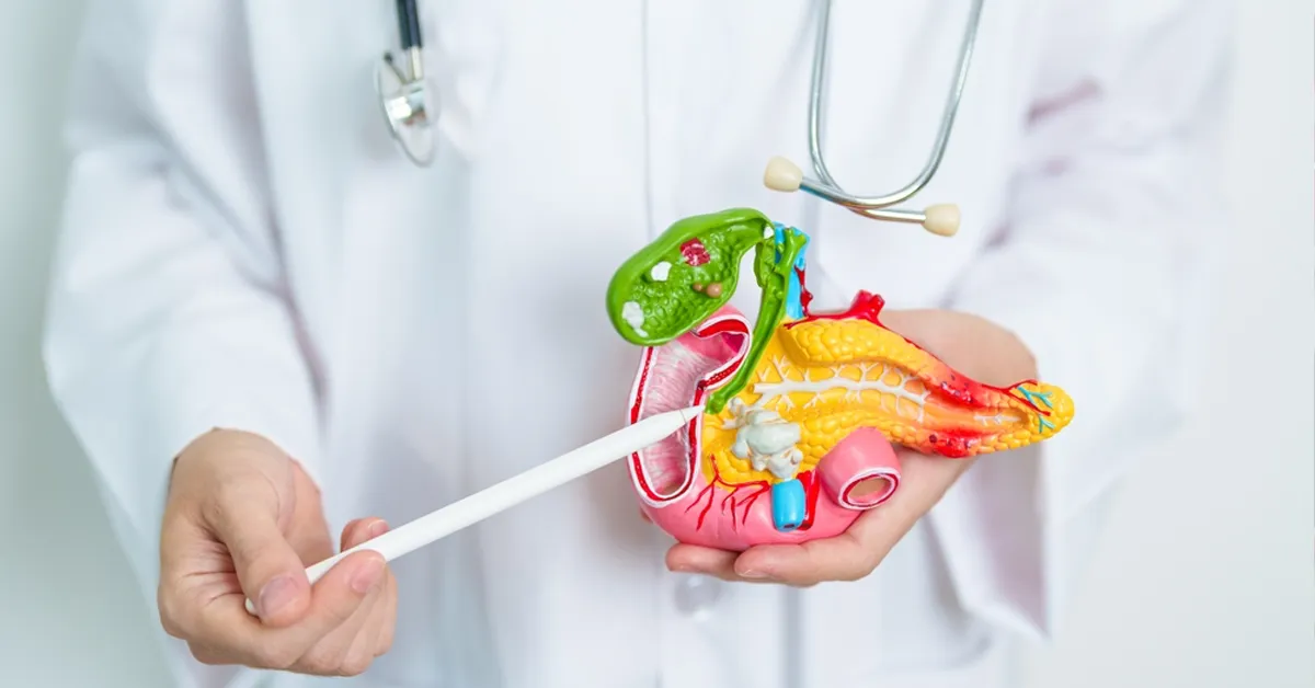 The use of pancreatic enzyme therapy in cancer